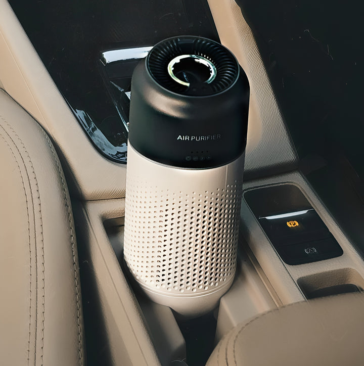 Portable Gesture Controlled Car Air Purifier